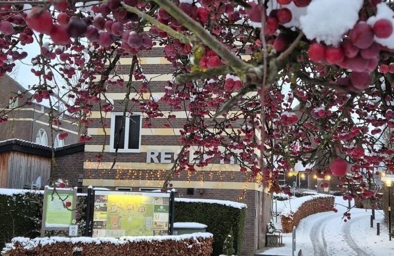 20260103 sneeuw in januari op de mechelerhof winter 3