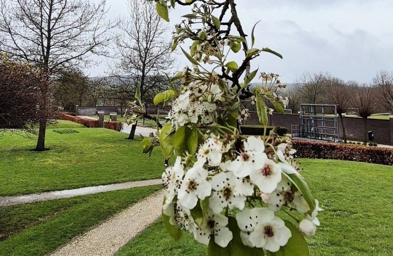 Last-Minute-Angebot bei De Mechelerhof