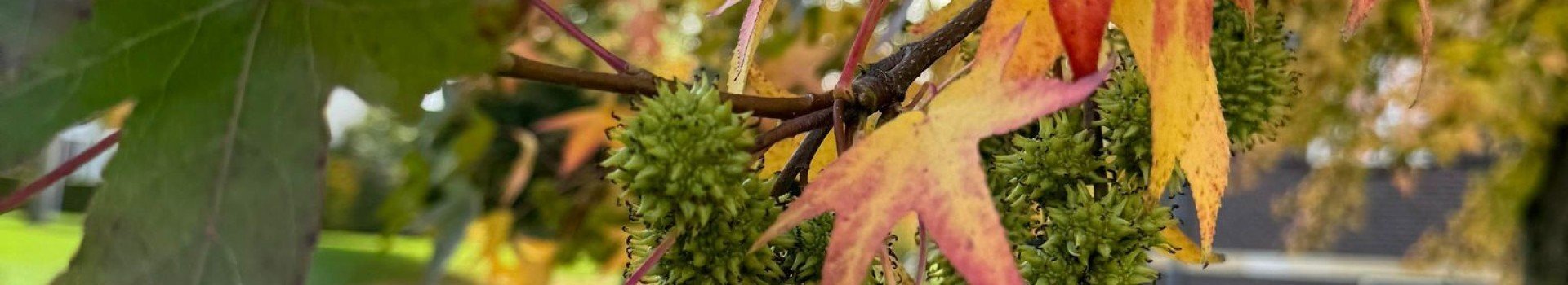 400756397 821764943290774 3266600638431284972 n