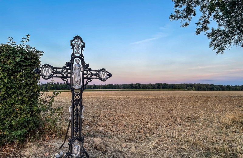 Camini-Routen in Südlimburg