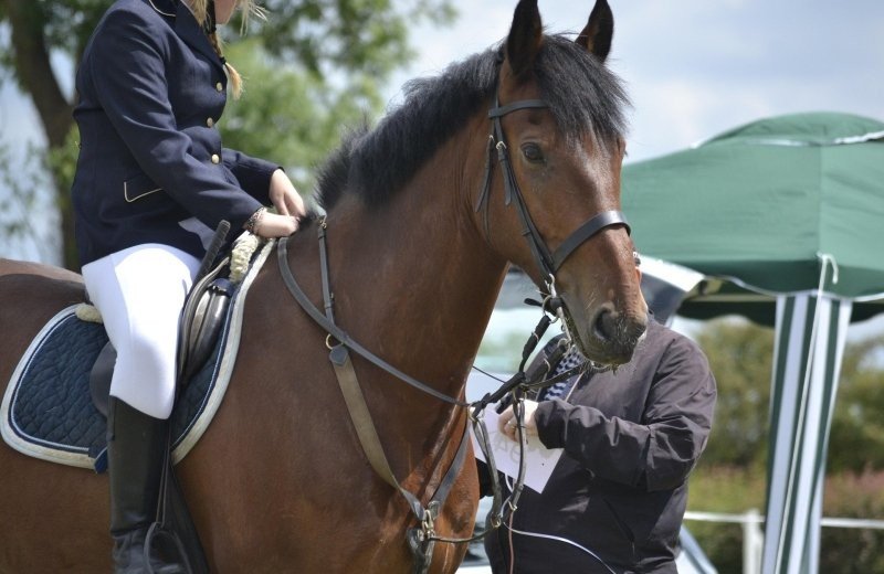 Weltfest des Pferdesports TSCHIO Aachen