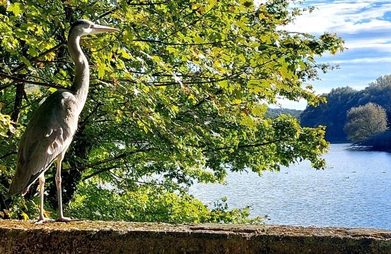 Wanderroute Schloss Erenstein