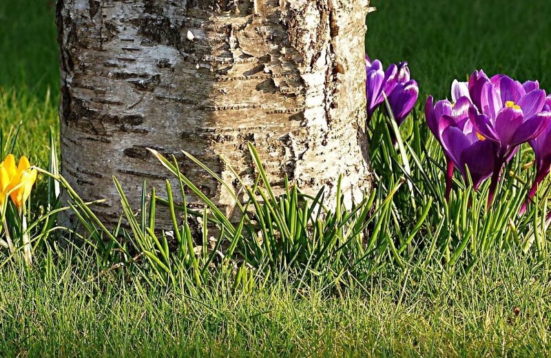 Bis zu 10% Rabatt zu Ostern