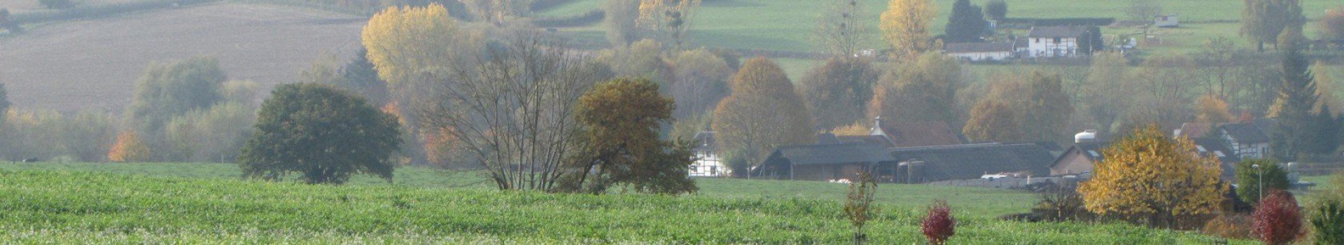 Uitzichtvanuitmechelerhof 61e6bbdcc1250